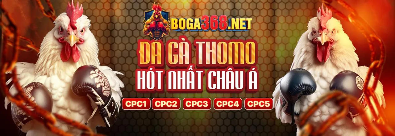 Đá gà cwin999 code - Trận đấu kịch tính