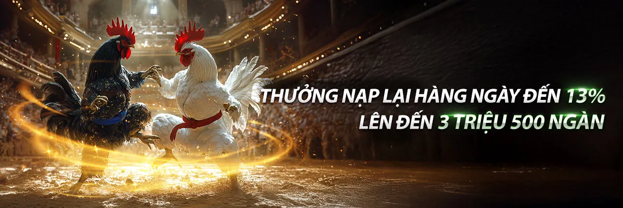 Hình ảnh đá gà trực tuyến tại cwin999 code